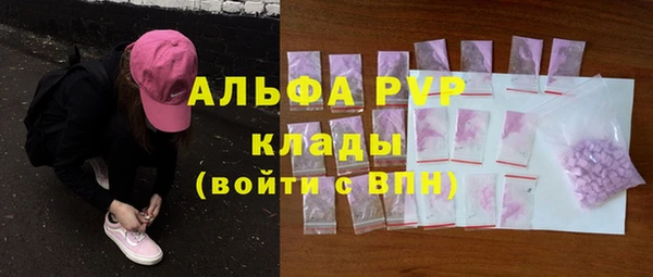 индика Магас