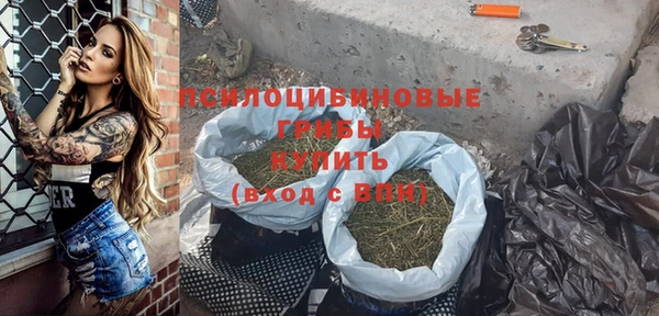 индика Магас