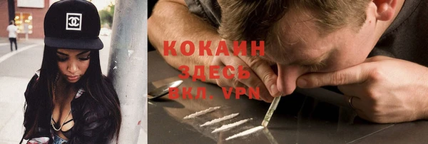 хмурый Мегион