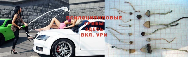 каннабис Майский