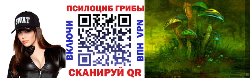 Купить закладки  Шали  Псилоцибиновые грибы прущие грибы