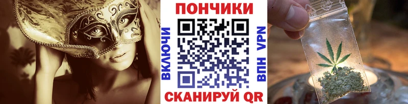 Бошки Шишки OG Kush  Купить закладки  Шали